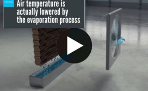 The Power Of Evaporative Cooling!