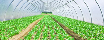 Agriculture & Gardening Industry